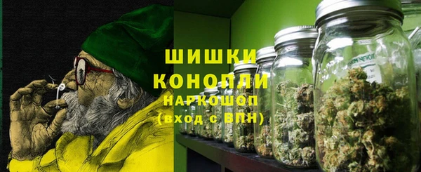 крисы Белокуриха