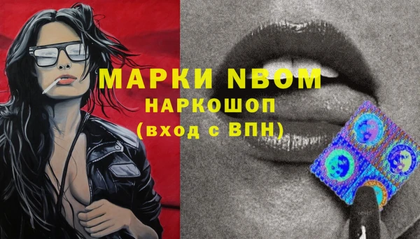 крисы Белокуриха