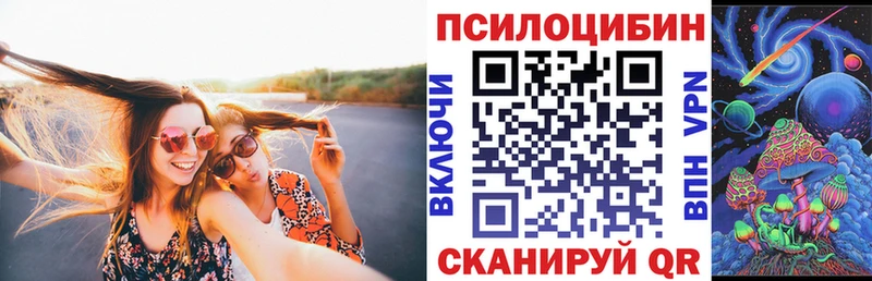Галлюциногенные грибы Psilocybe  закладки  гидра рабочий сайт  Томмот 